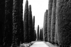 The path from Villa Favorita.